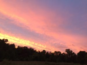 sunset_fall2016
